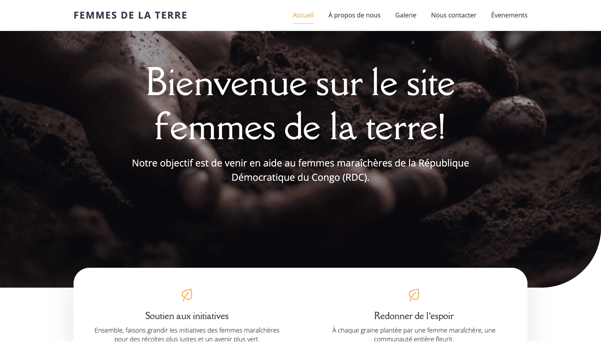 Client website built by SoiZenFier